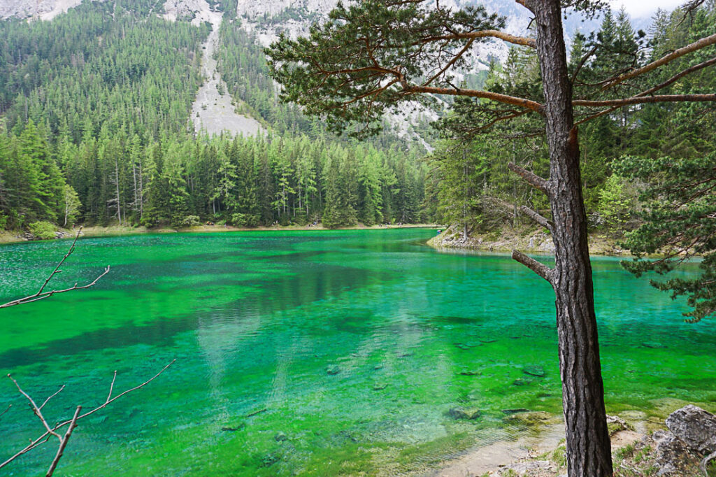 Rundwanderung Grüner See Tragöß