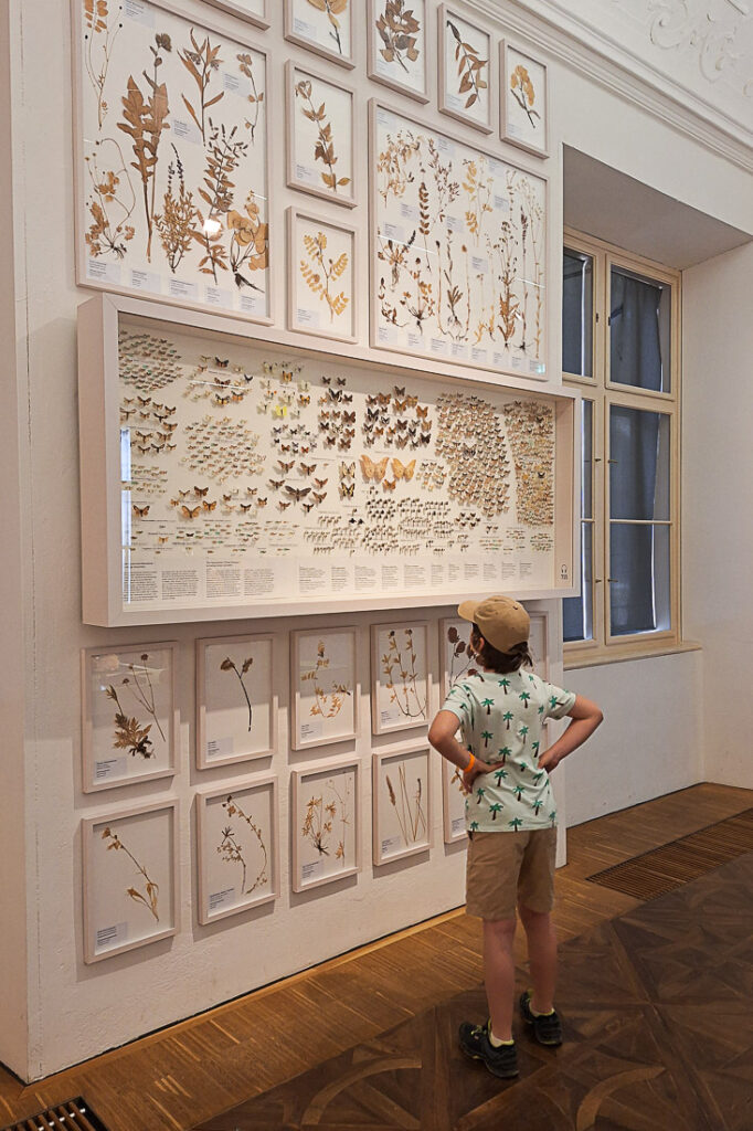 Museen für Kinder in Graz: Naturkundemuseum