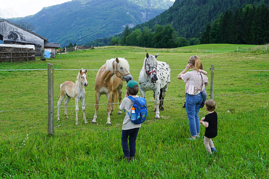 Golling mit Kindern - Pferde