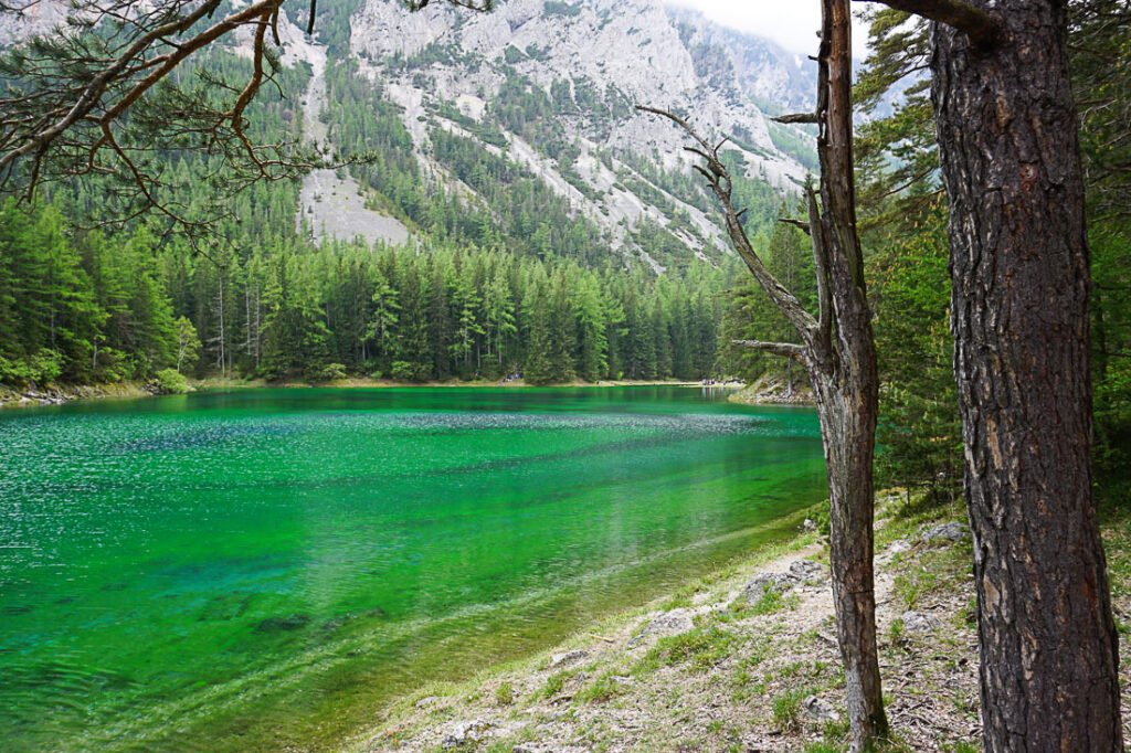 Tragöß Grüner See