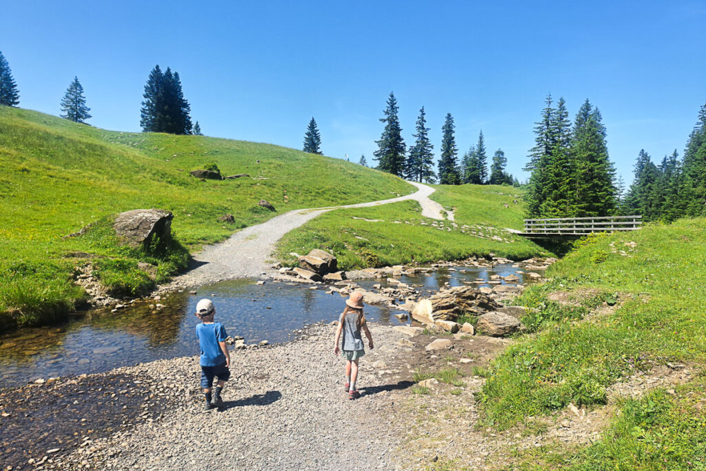 Wassertummelplatz Alpe Kanis
