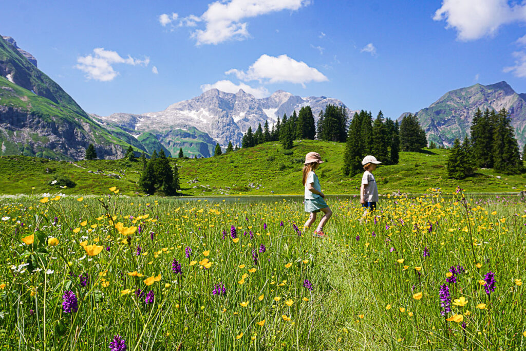 Bregenzerwald mit Kindern