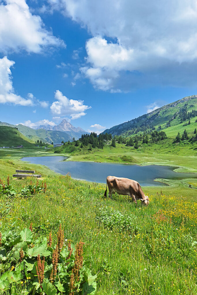 Kalbelesee Bregenzerwald Wanderung