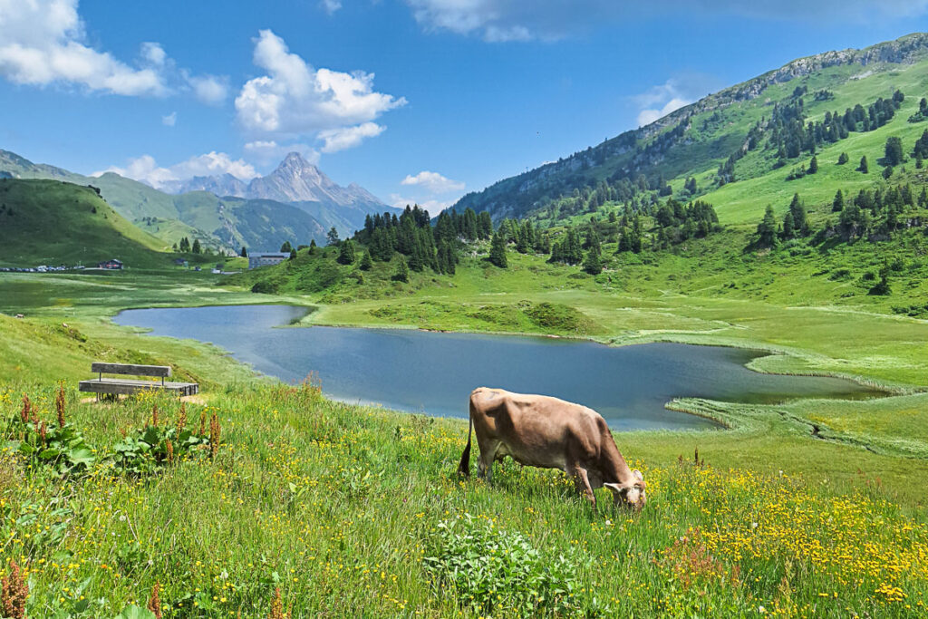Kalbelesee Vorarlberg wandern