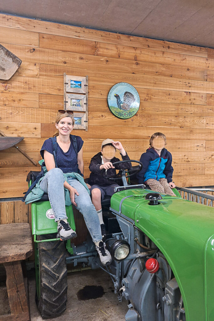 Seefeld mit Kindern Aktivitäten: Sigis Sauhaufen Streichelzoo Bauernhof