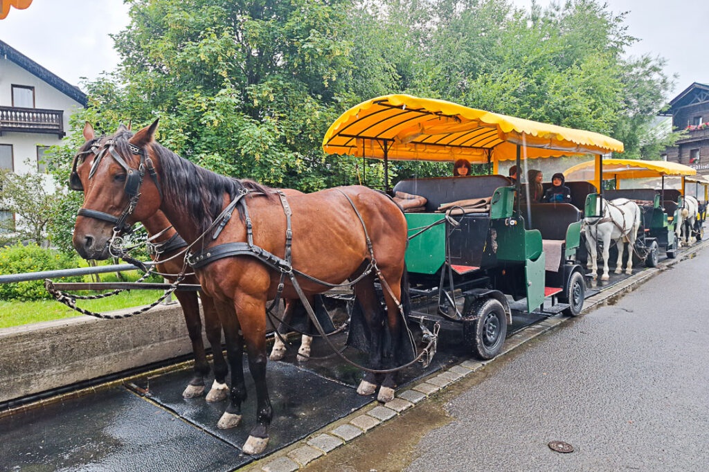 Seefeld: Kutschenfahrt