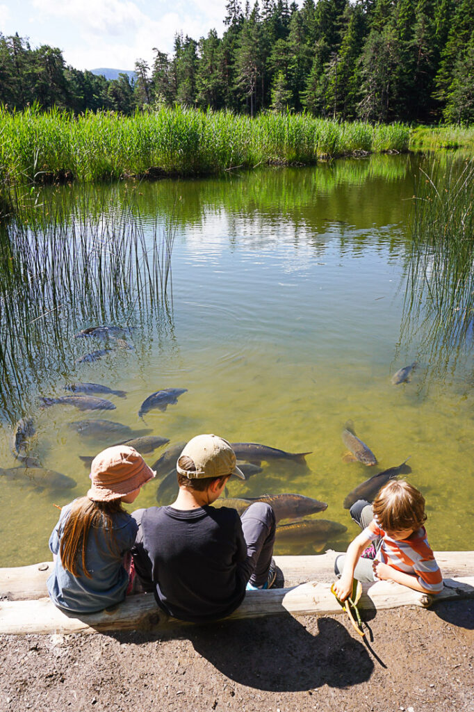 Seefeld mit Kindern: Möserer See Wanderung