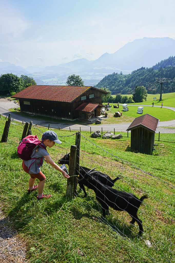 Erlebnisberg Hocheck Bergstation Ziegen