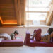 Omama Familytime Urlaub am Design Bauernhof