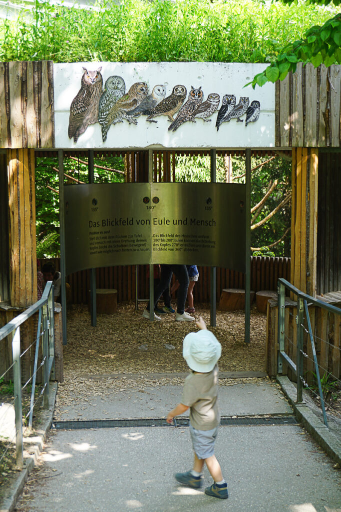 Innsbruck mit Kleinkind: Alpenzoo Innsbruck