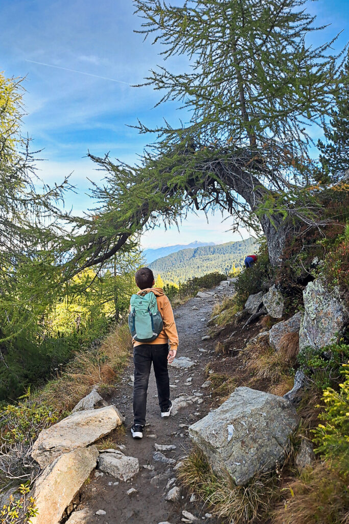Innsbruck wandern mit Kindern am Patscherkofel