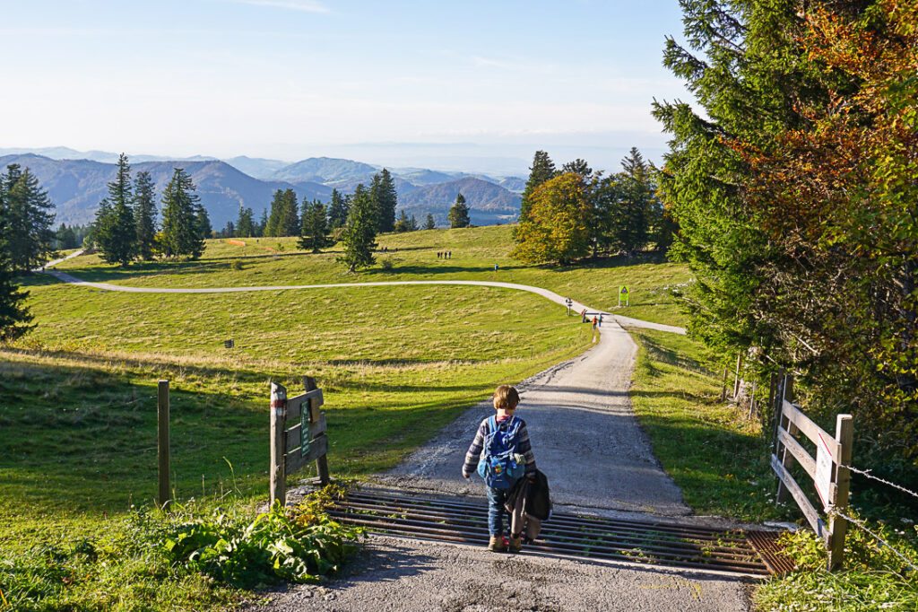 Wandern in Niederösterreich im Herbst