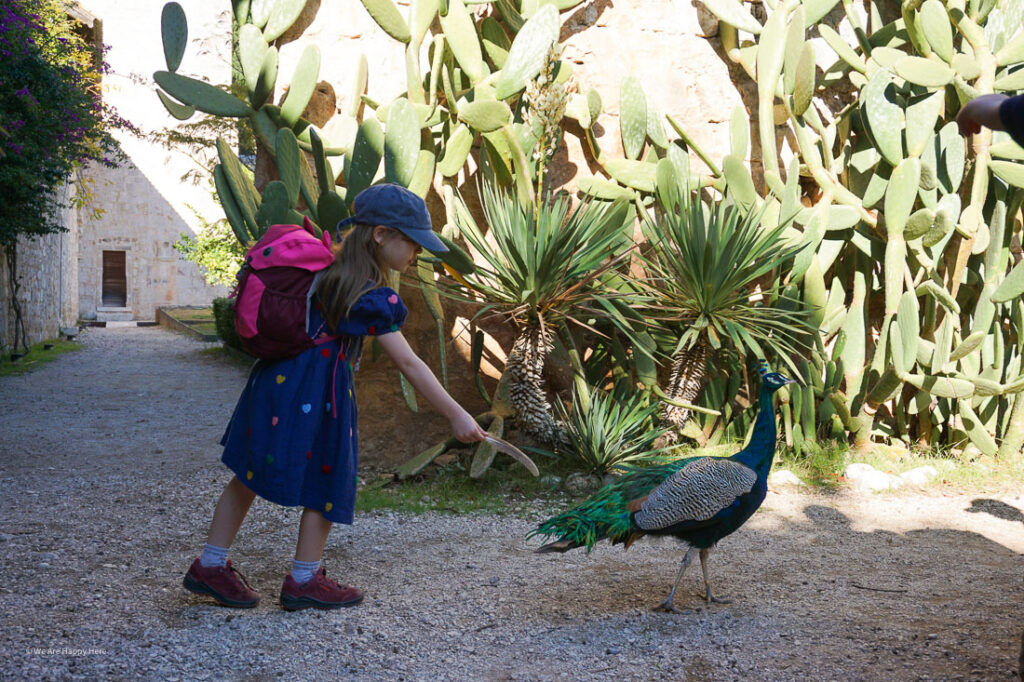Kroatien Insel Lokrum mit Kindern