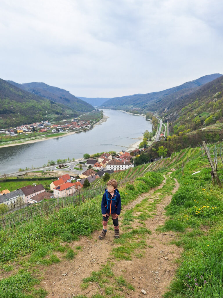 Weingeistweg Wachau: Wandern mit Kindern
