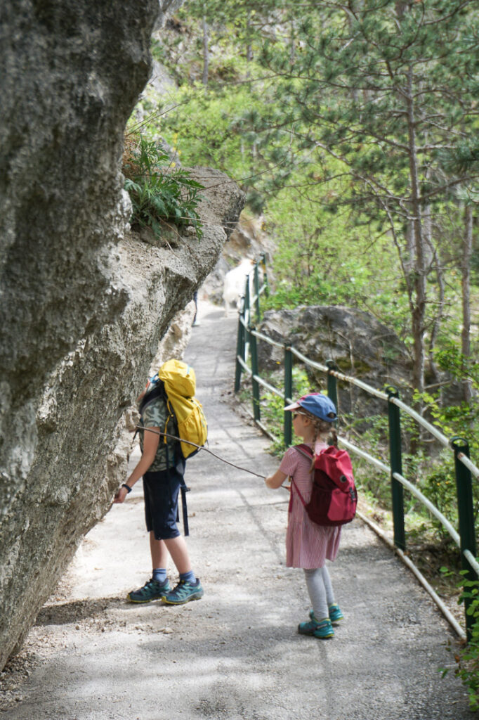 Am Felsenweg in Baden wandern mit Kindern