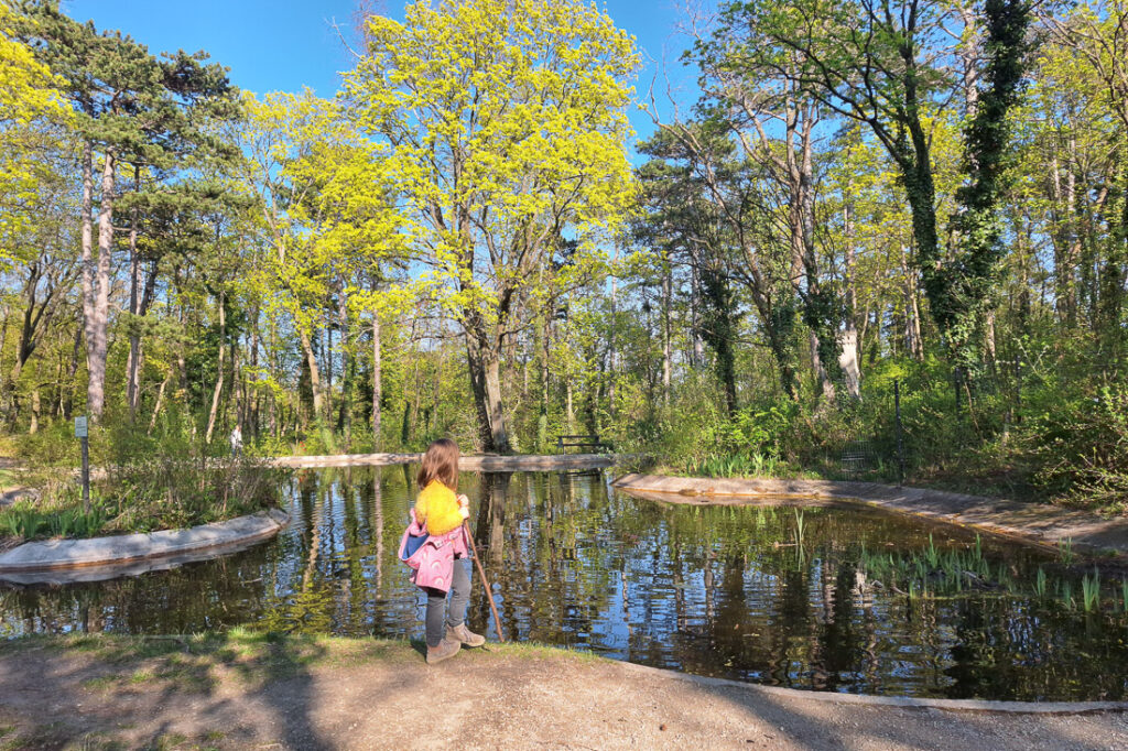 Kurpark Baden Bienenburg Teich