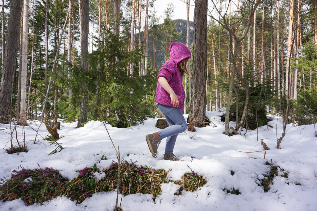 Mieminger Plateau im Winter
