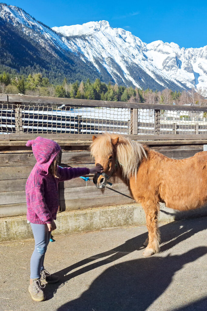 Hotel Stern: Urlaub am Bauernhof in Tirol