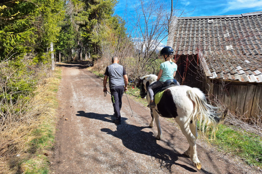 Ponyreiten im Hotel Stern