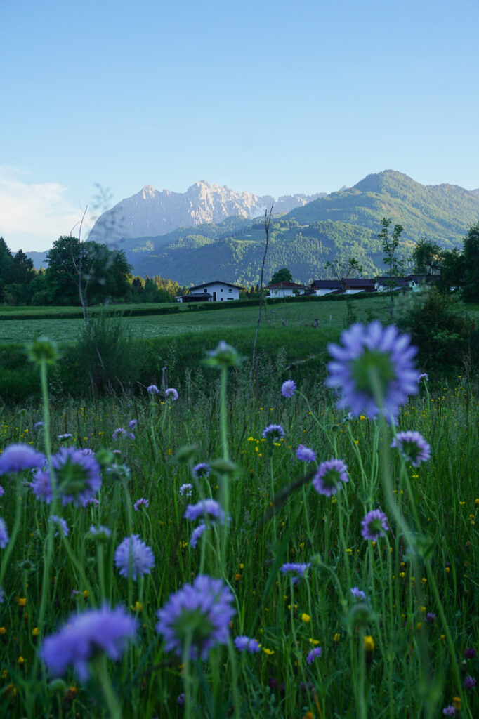 Kaiserwinkl Tirol Sommer 