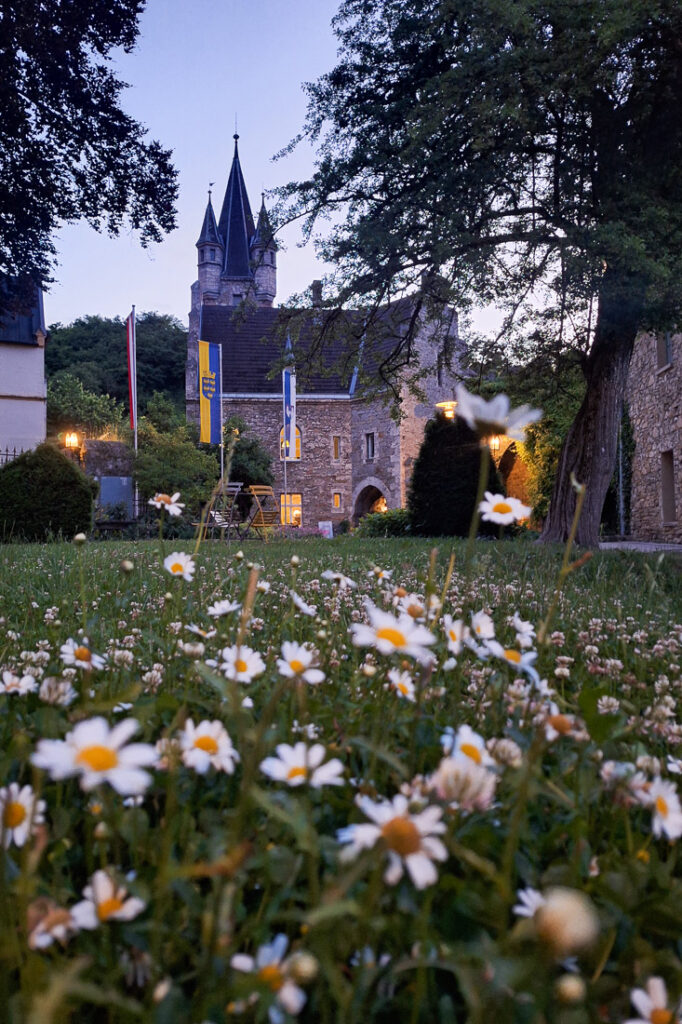 Schloss Rothschild Waidhofen an der Ybbs