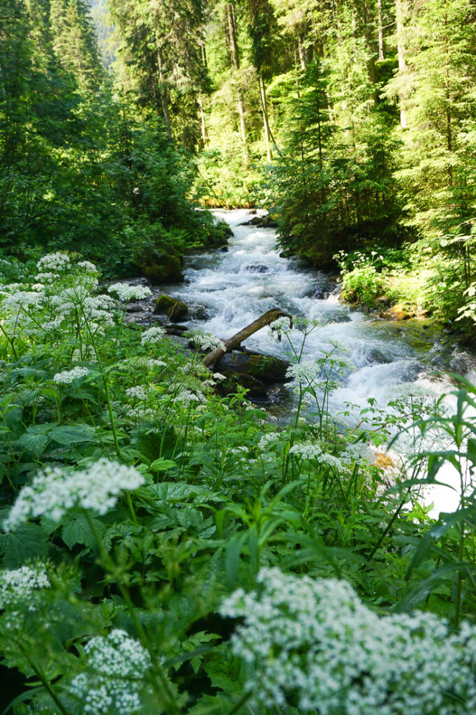 Volderbach Voldertal