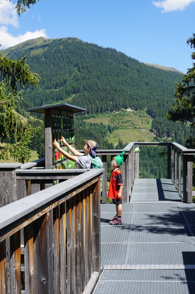 Baumwipfelplfad wandern mit Kindern in Saalbach Hinterglemm