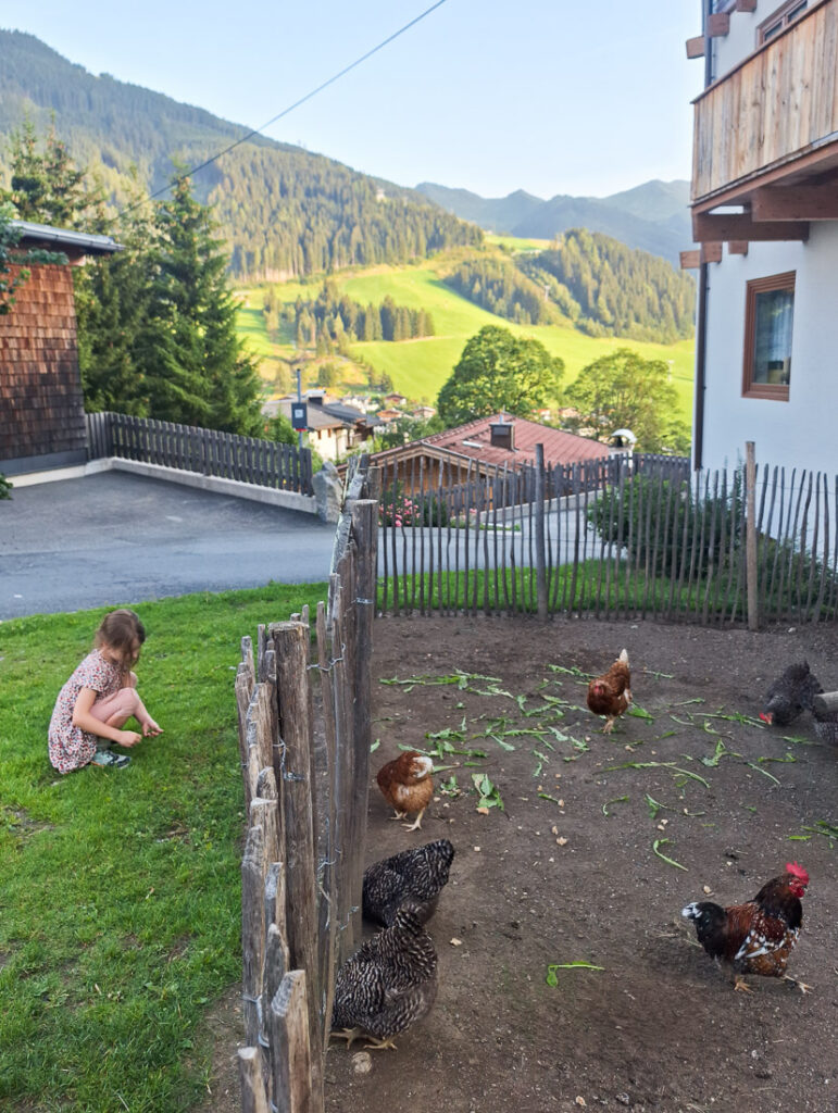 Hühner am Bachgut im Familienurlaub im Chalet-Dorf in Salzburg