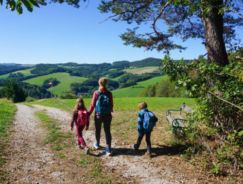 Rosalia Rundwanderweg mit Kindern